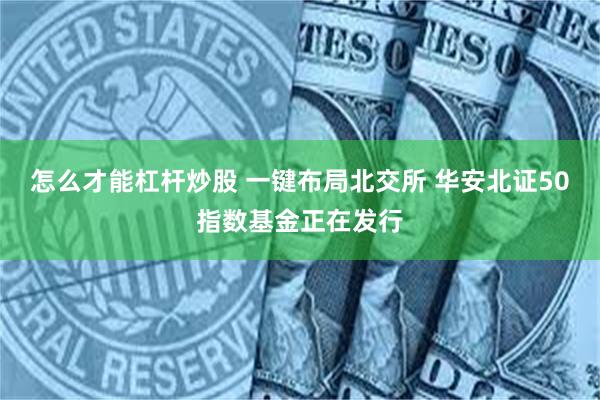 怎么才能杠杆炒股 一键布局北交所 华安北证50指数基金正在发行